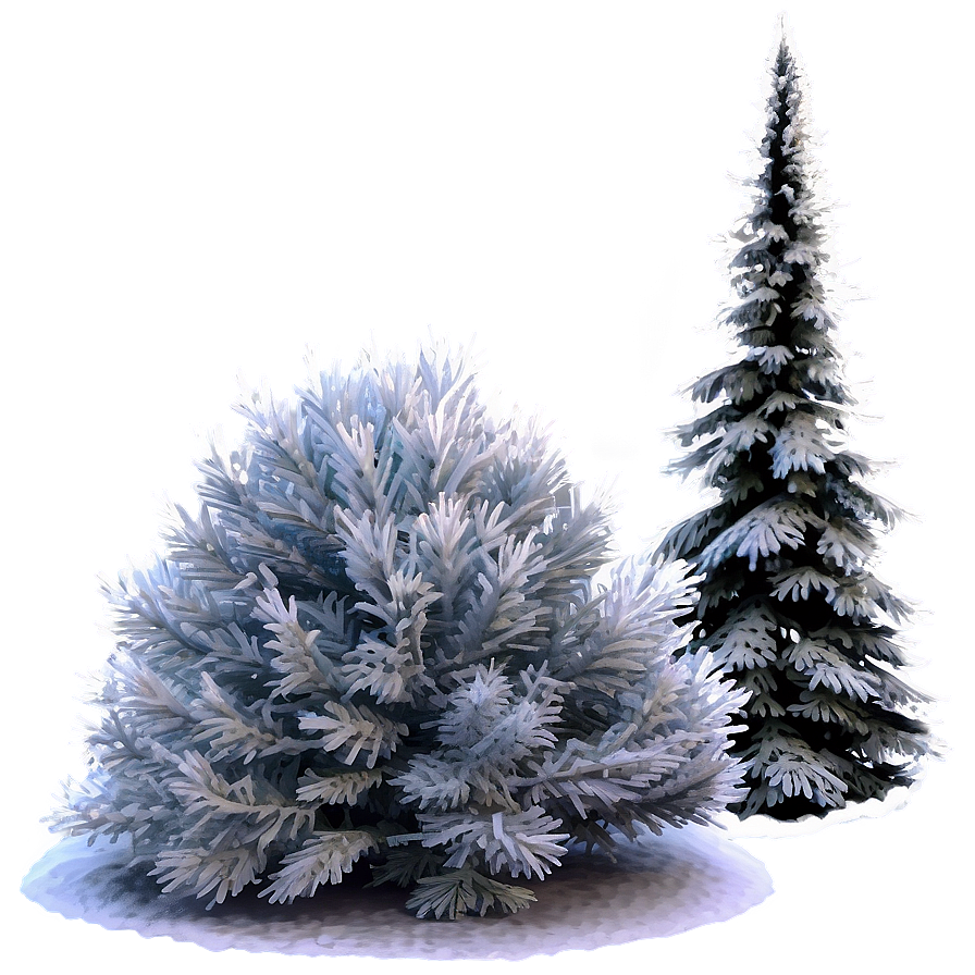 Winter Pine Tree Scene PNG 46 PNG with transparent background