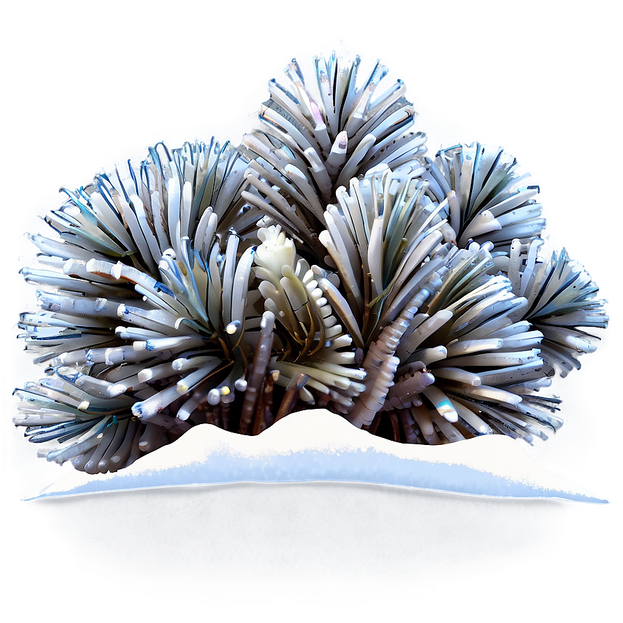 Winter Plants Png 40