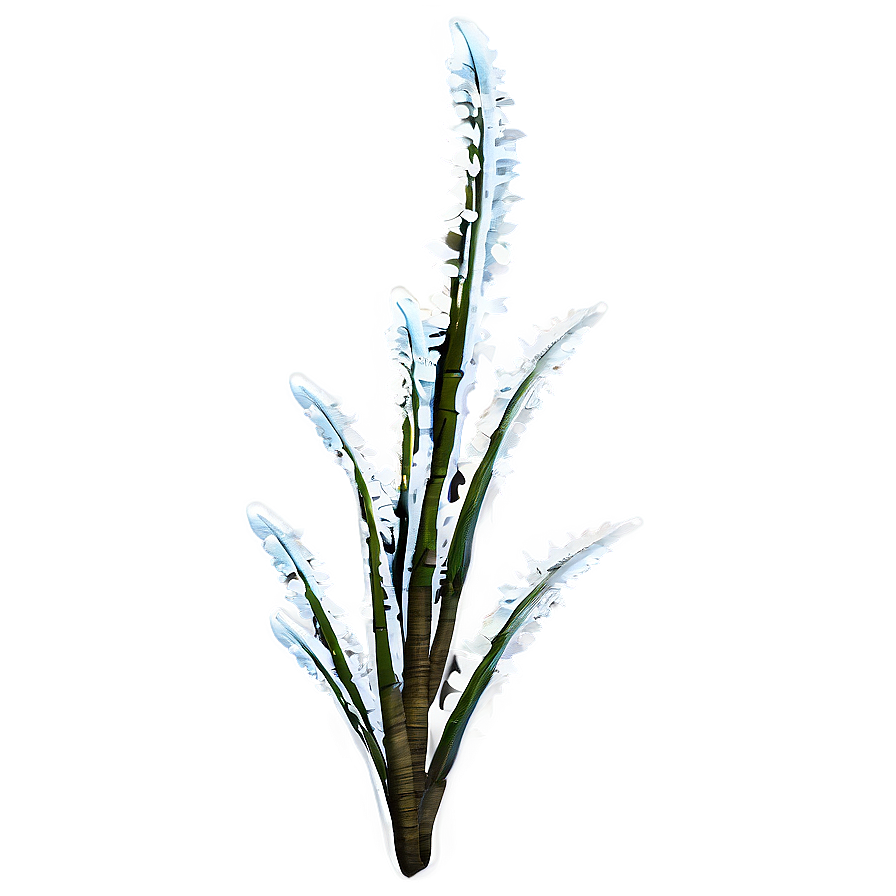 Winter Plants Png Xef