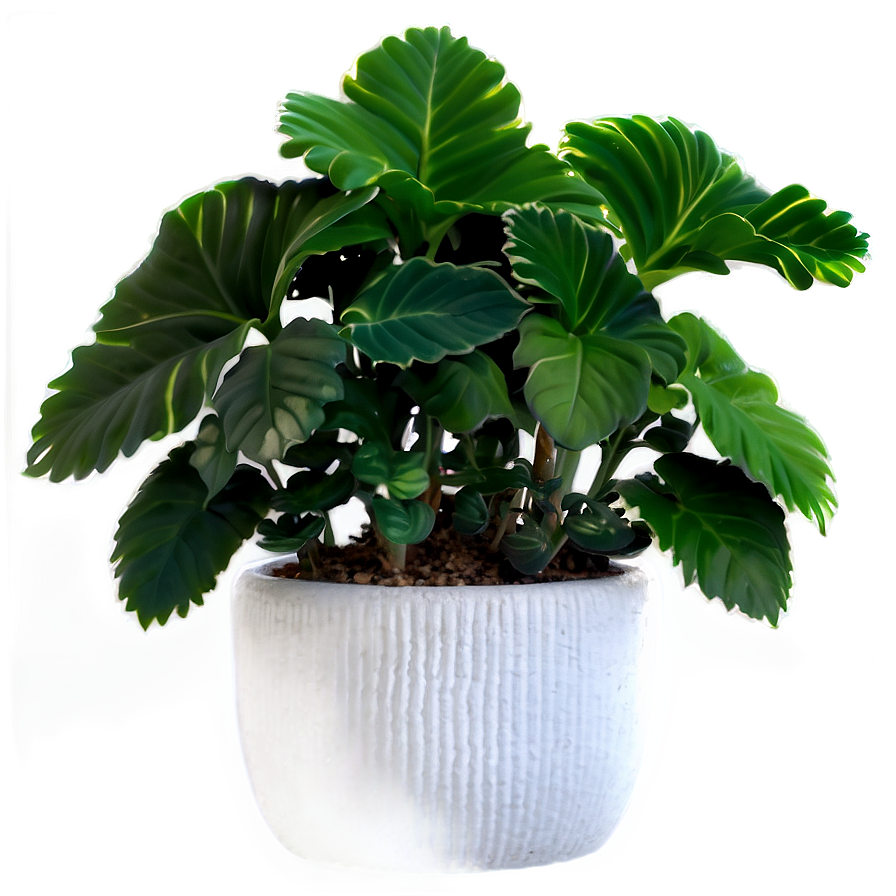 Winter Potted Plants PNG dio PNG image with a transparent background, free high-resolution download