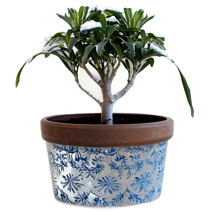 Winter Potted Plants Png Ruv