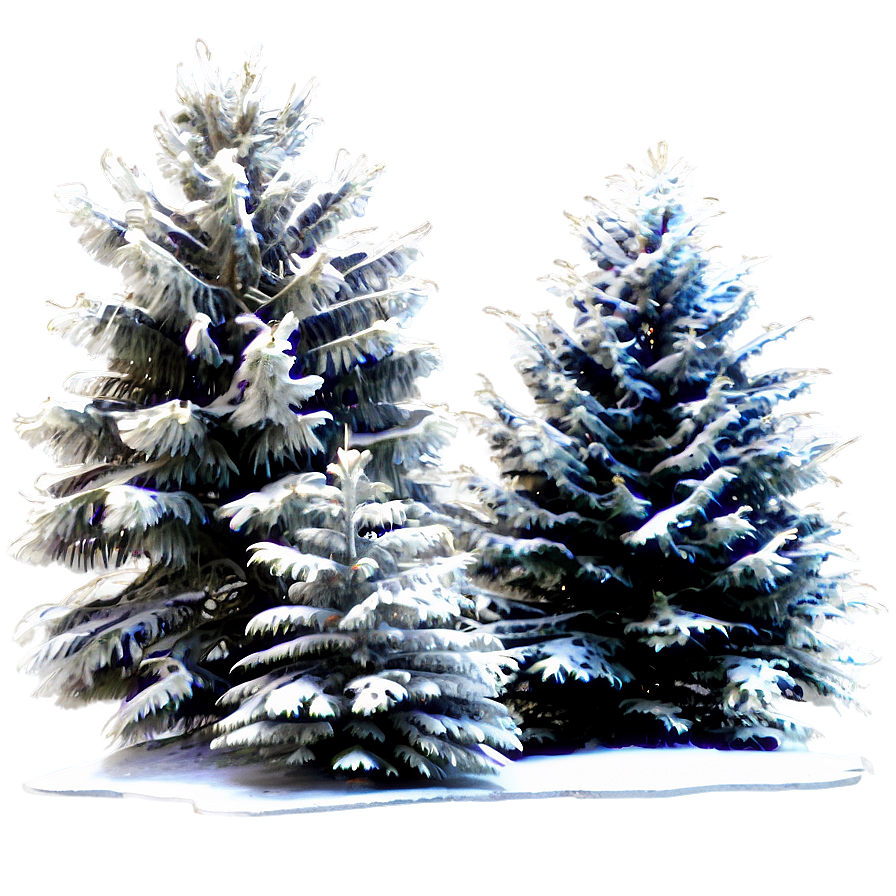 Winter's Snow Trees Png Mml94