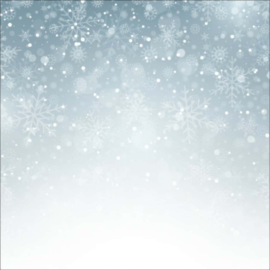 Winter Snowflake Backdrop