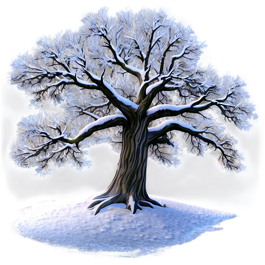 Winter Snowy Oak Tree Png 41