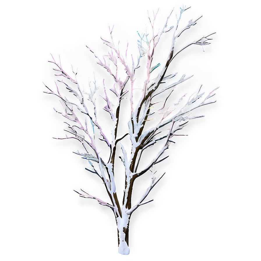 Winter Tree Branches Png 51