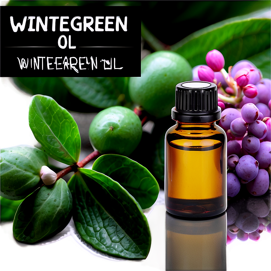 Wintergreen Essential Oil Png 6