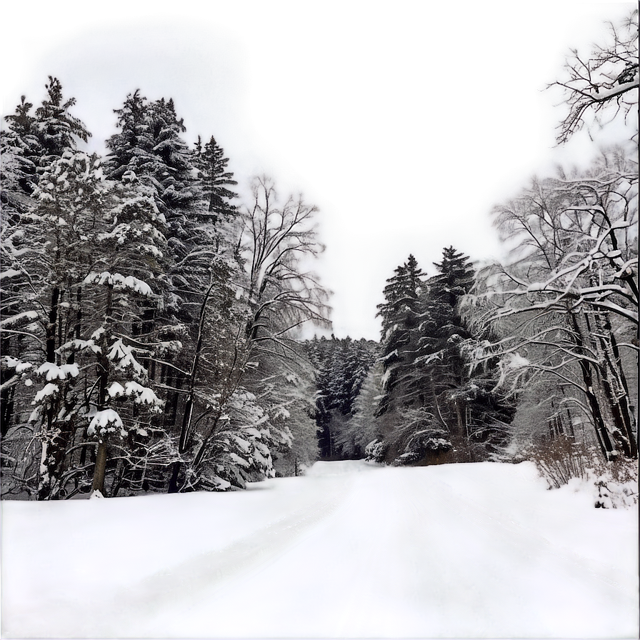 Wisconsin Winter Wonderland Png 15