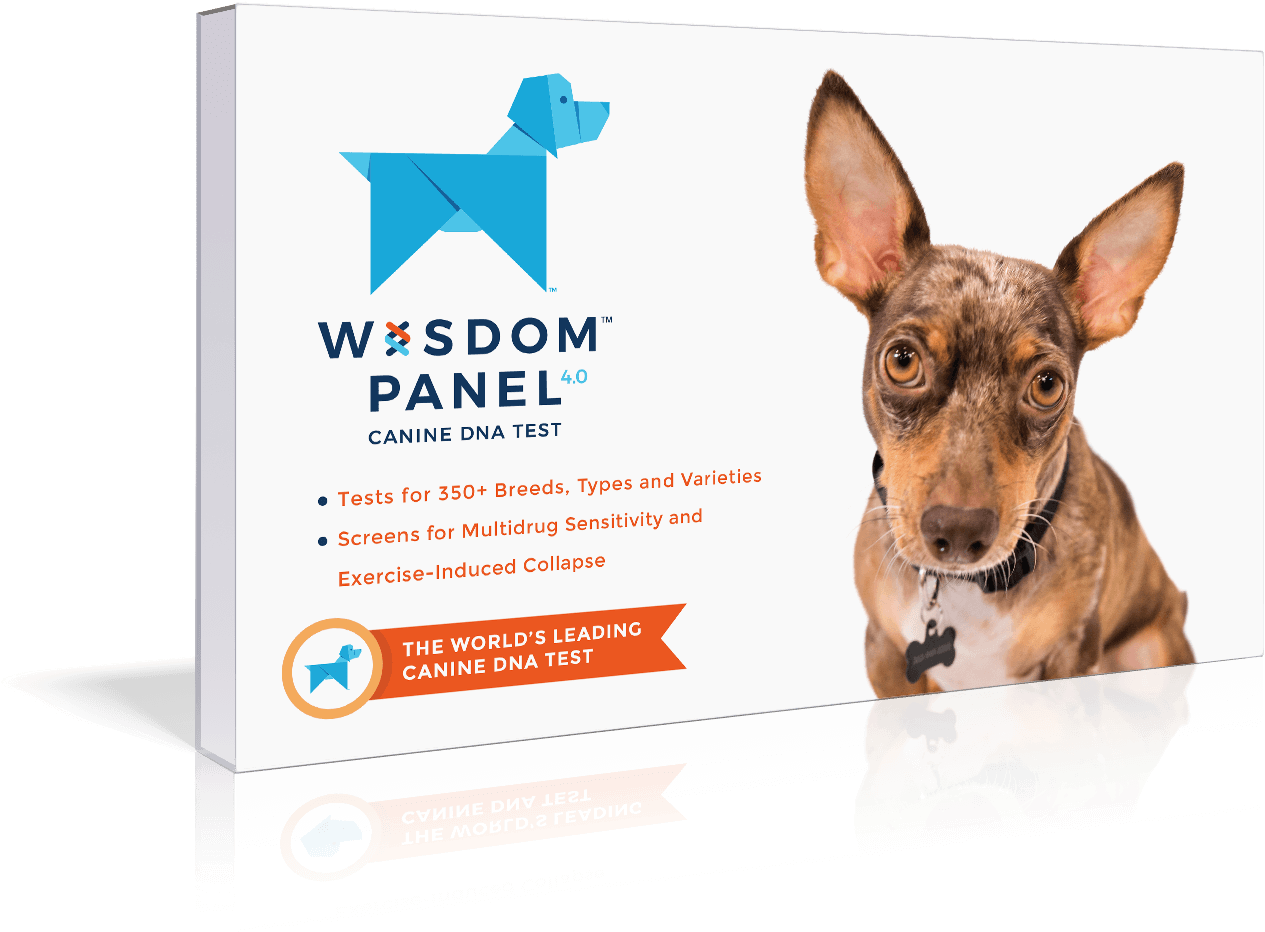 Wisdom Panel Canine D N A Test Packaging