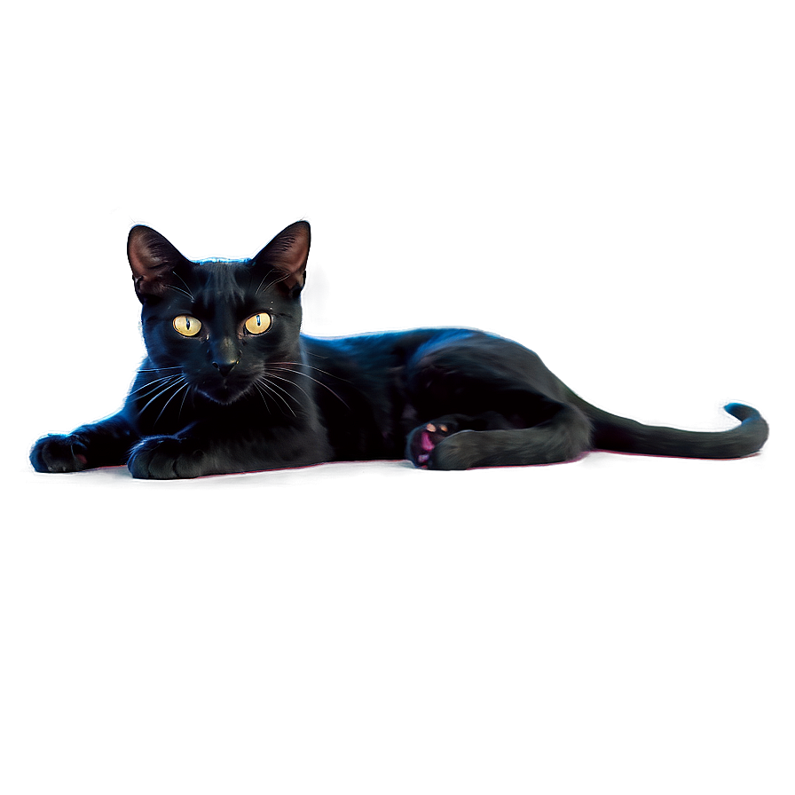 Witch Black Cat Png Mvn27