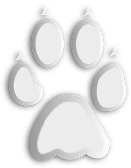 Wolf Paw Print Graphic PNG with transparent background