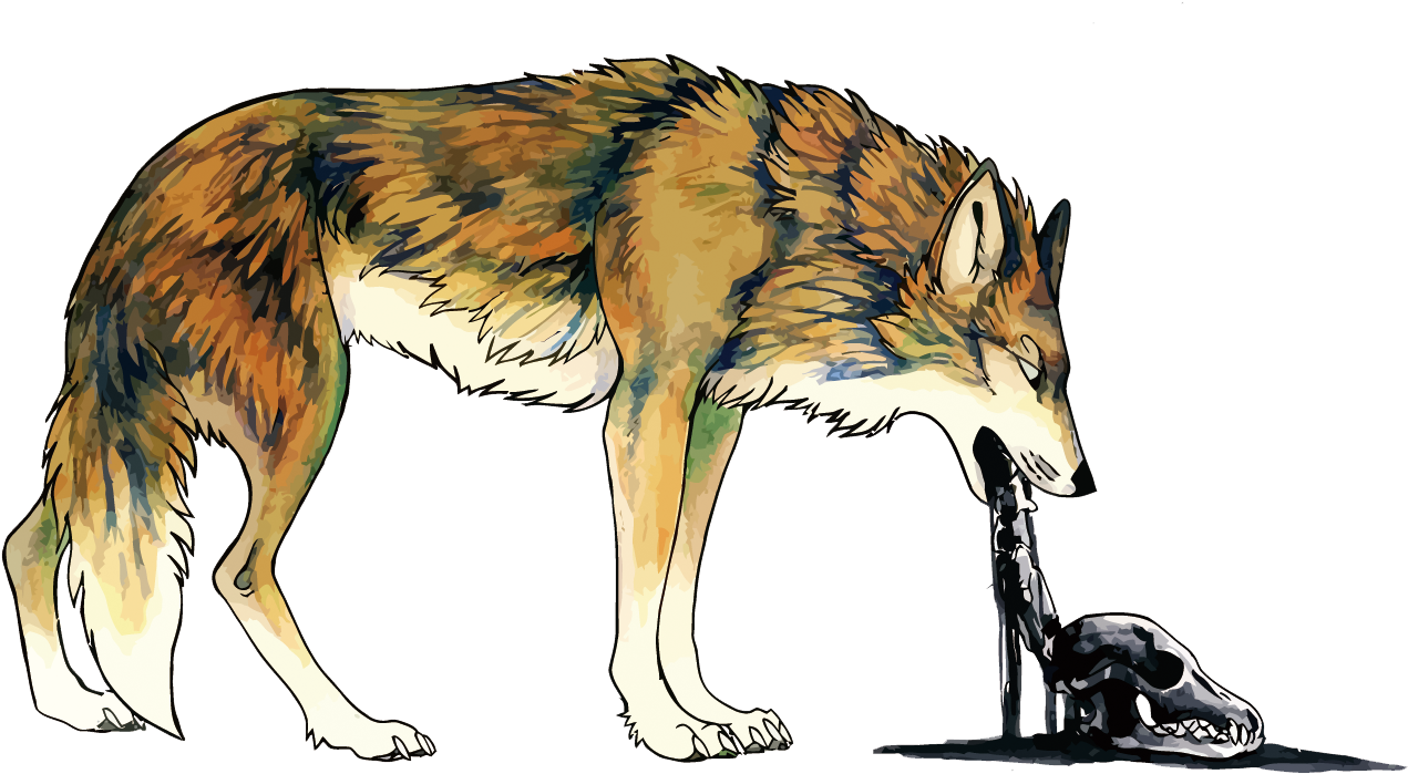 Wolf Vomiting Illustration PNG with transparent background