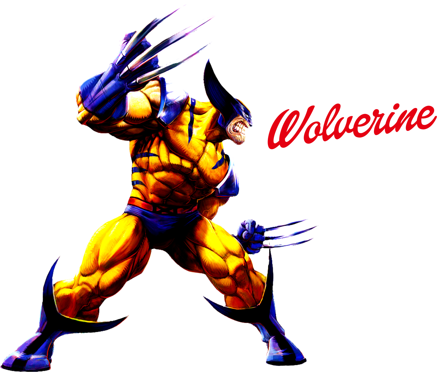 Wolverine Action Pose