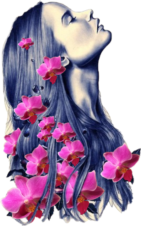 Girl With Flowers Drawing , Transparent Cartoons - Rose In Hair Drawing, HD Png Download PNG with transparent background