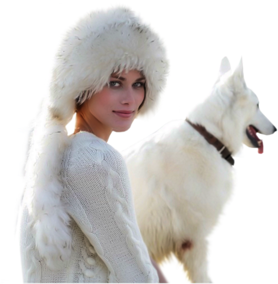 Samoyed Png - Samoyed, Transparent Png PNG image with a transparent background, free high-resolution download