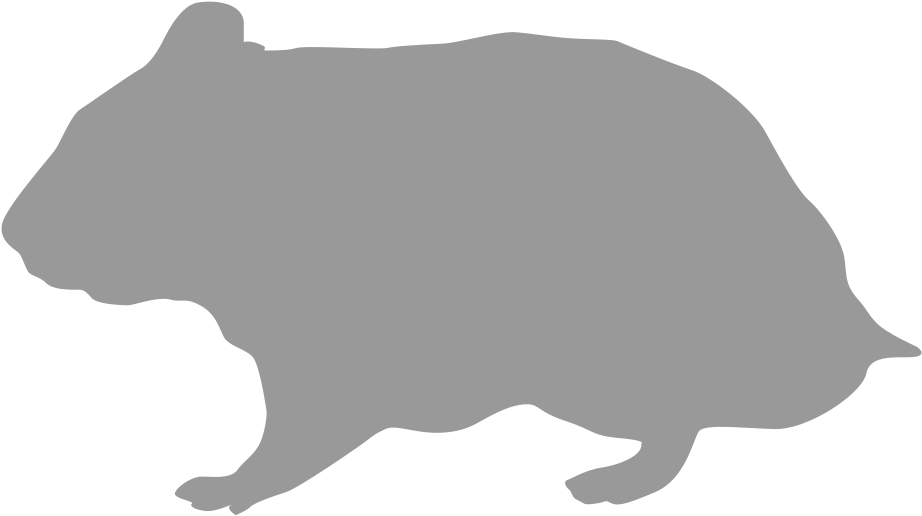 Wombat Silhouette Graphic