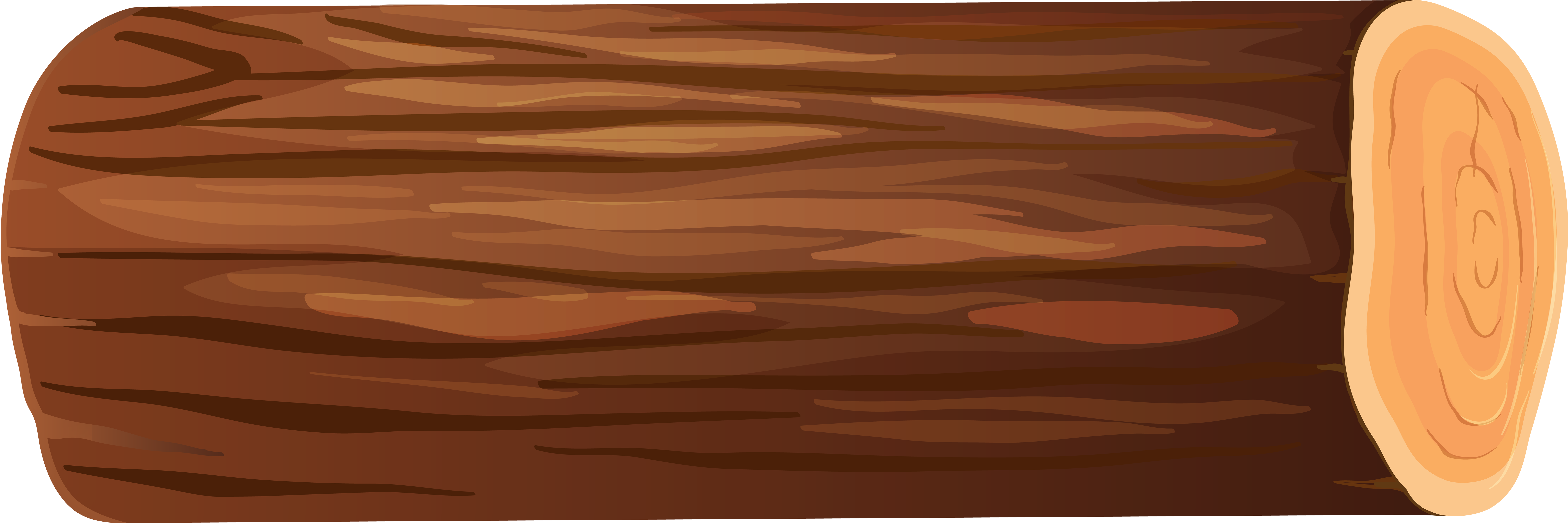 Wooden Log Illustration PNG with transparent background