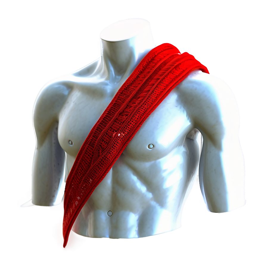 Wool Red Scarf Png 06252024