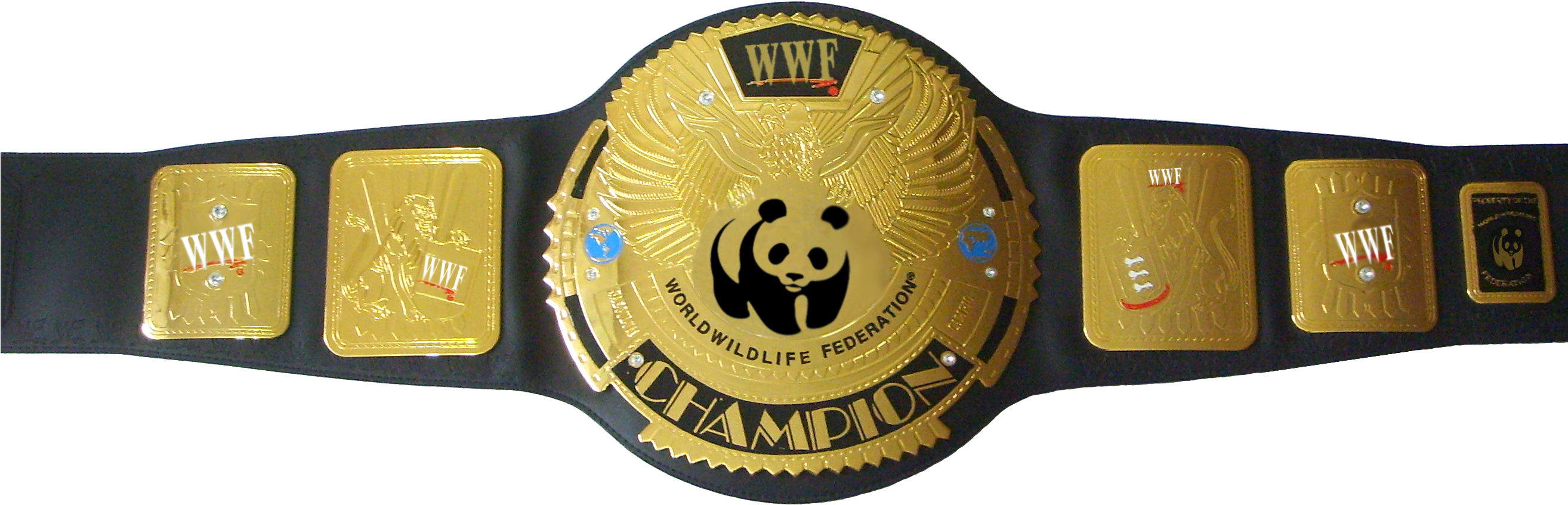 World Wildlife Federation Championship Belt