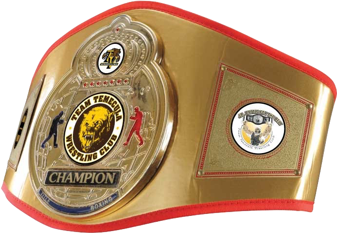 Wrestling Champion Belt