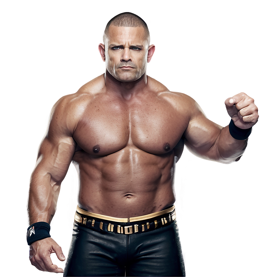 Wwe Superstars Action Png 42