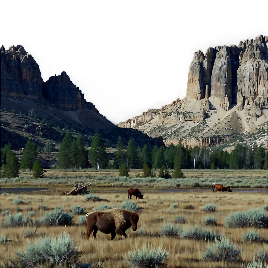 Wyoming Landscape Png 06252024