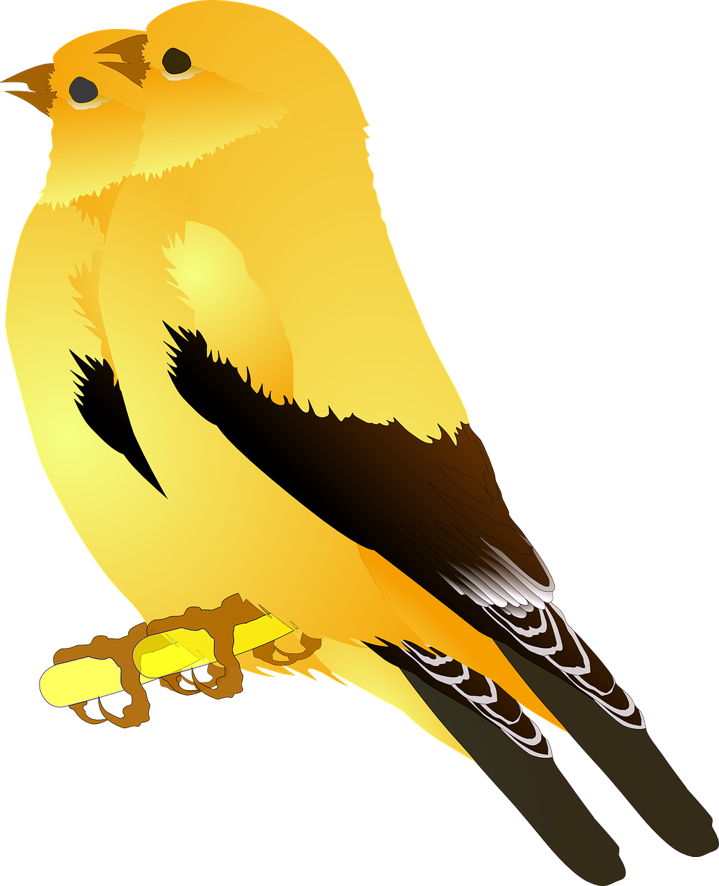 Yellow Bird Illustration