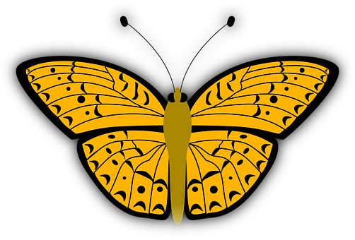 Yellow Black Butterfly Illustration PNG with transparent background