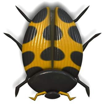 Yellow Black Ladybug Illustration PNG with transparent background