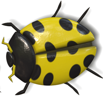 Yellow Black Ladybug Illustration PNG with transparent background