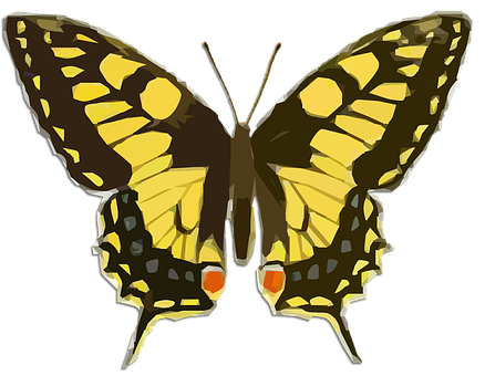 Yellow Black Patterned Butterfly Illustration