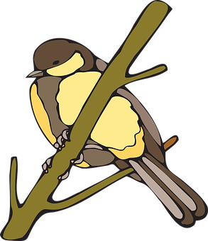 Yellow Breasted Bird Illustration PNG with transparent background