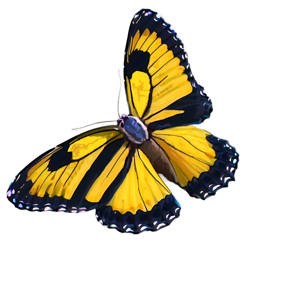 Yellow Butterfly In Nature Png Ecb24