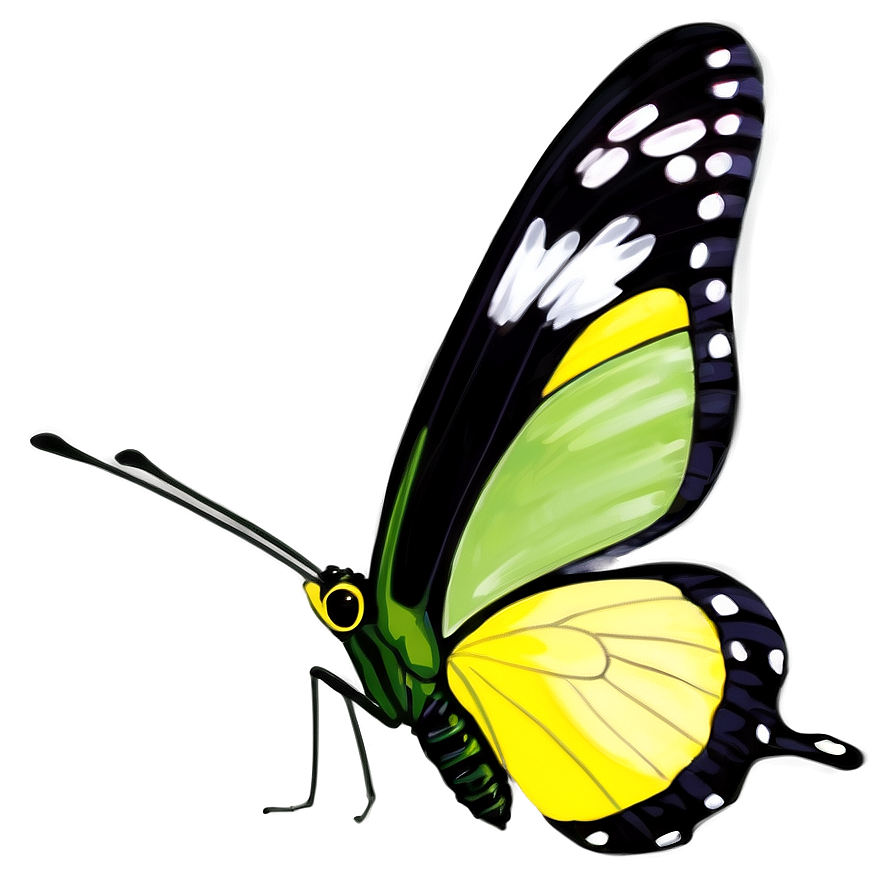 Yellow Butterfly With Green Background Png Dbc87