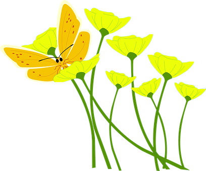 Yellow Butterflyon Flowers