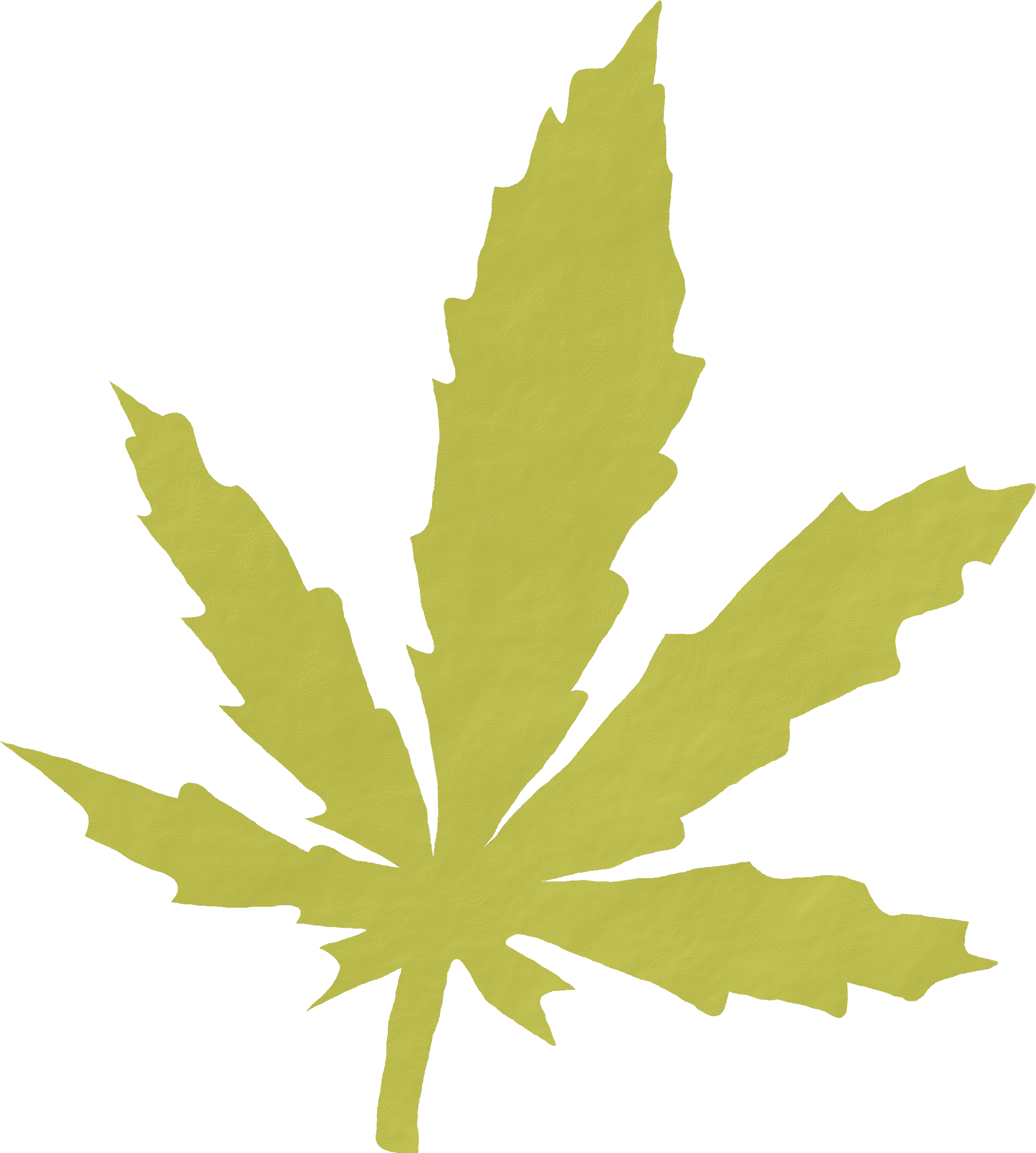 Yellow Cannabis Leaf Graphic