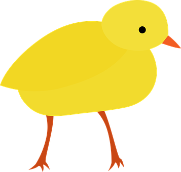 Yellow Cartoon Chick Illustration