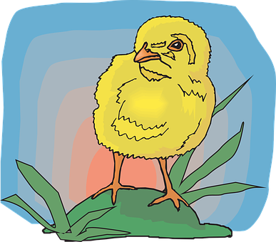 Yellow Chick Illustration PNG with transparent background