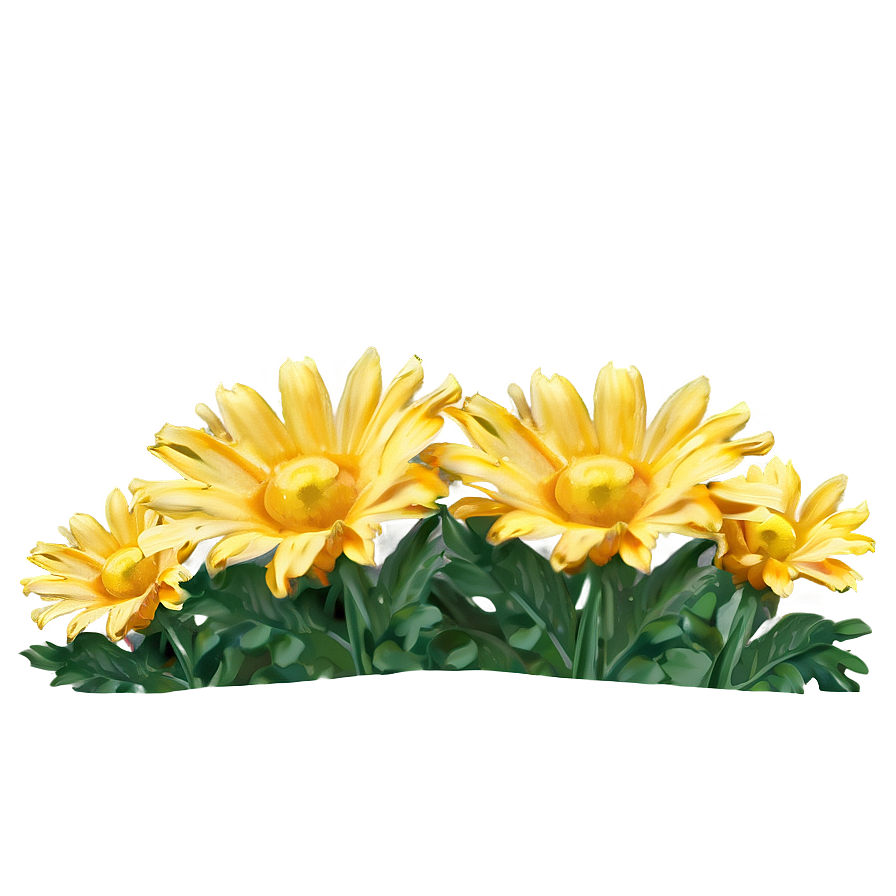 Yellow Daisy And Blue Sky Png Orv90