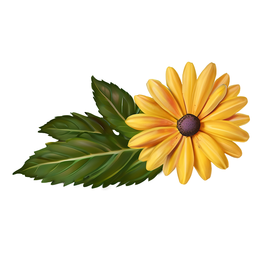 Yellow Daisy Flowers Png Bwy33