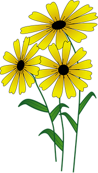 Yellow Daisy Illustration