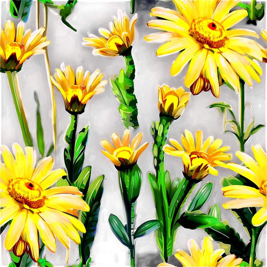 Yellow Daisy In Field Png 31