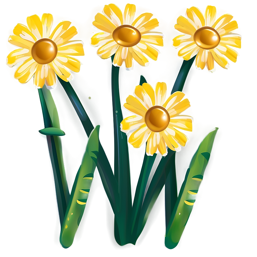 Yellow Daisy Shaded Illustration Png 06292024