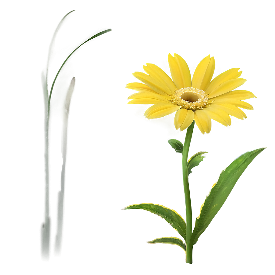 Yellow Daisy Silhouette Png 06292024