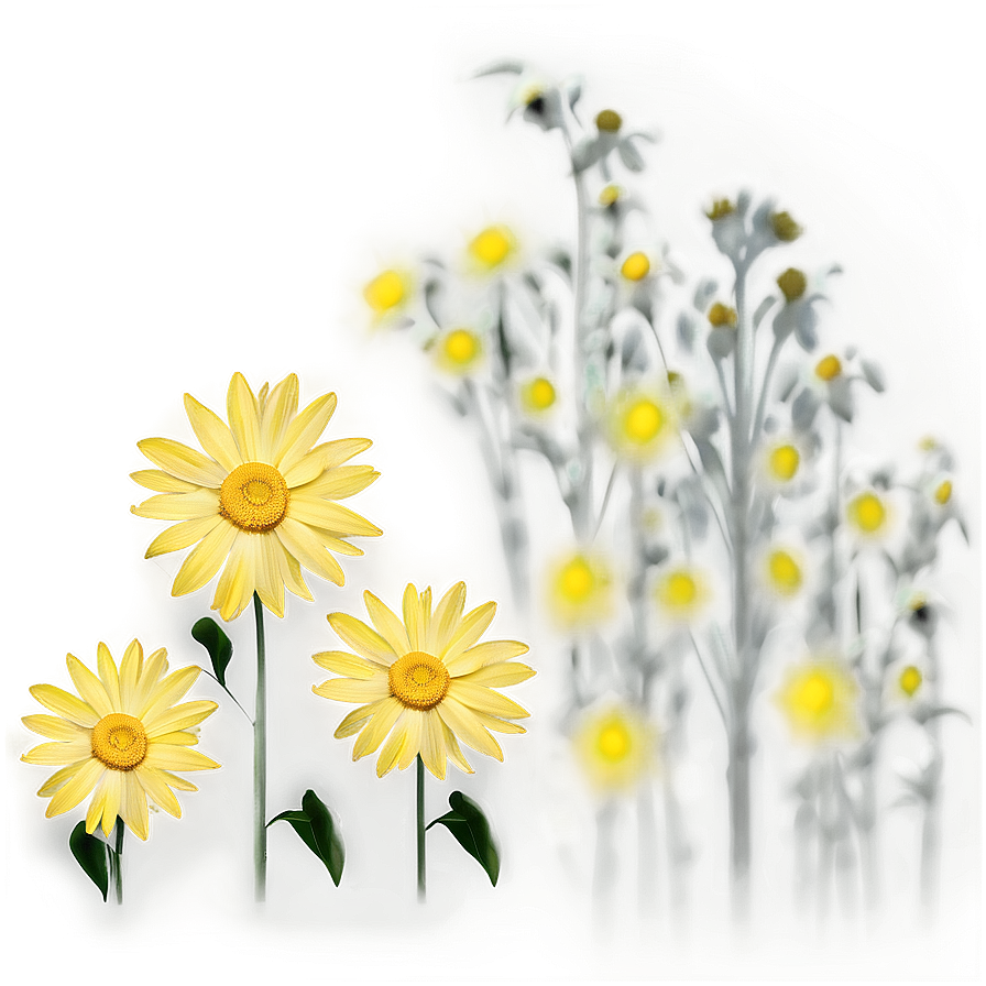 Yellow Daisy Silhouette Png Eja92