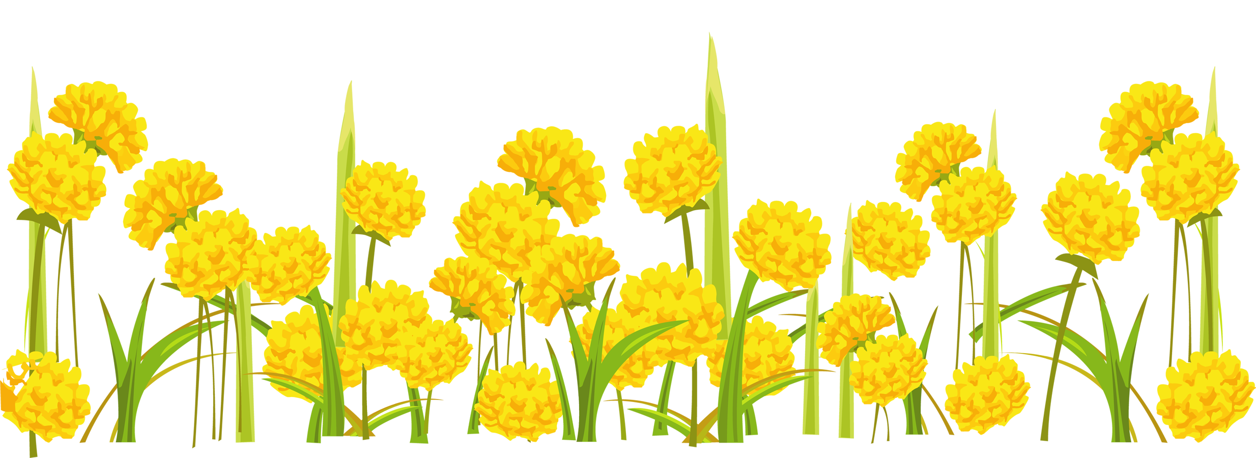 Dandelion Png - Transparent Background Yellow Flower Clipart, Png Download PNG image with a transparent background, free high-resolution download