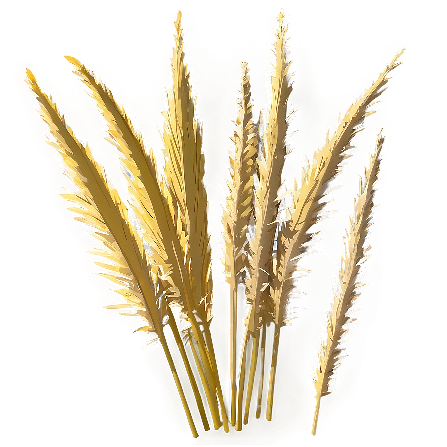 Yellow Dry Grass Png Qrw