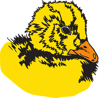 Yellow Duckling Illustration PNG with transparent background