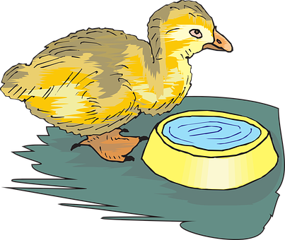 Yellow Duckling With Water Bowl PNG image with a transparent background, free high-resolution download