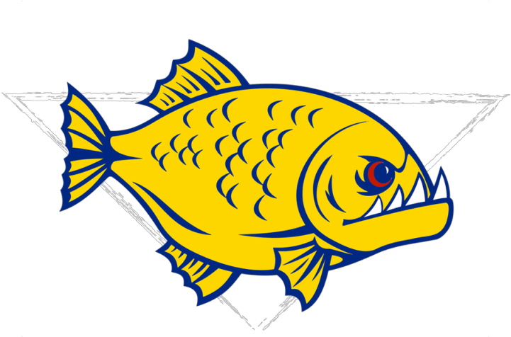 Yellow Fish Cartoon Artwork PNG with transparent background