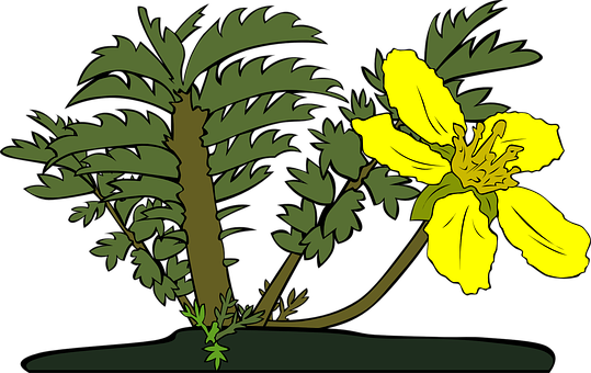 Yellow_ Flower_and_ Green_ Foliage_ Vector PNG with transparent background